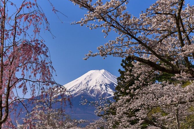 Private tour to Mount Fuji with an English driver from Tokyo - Chureito Pagoda and the classic Fuji view