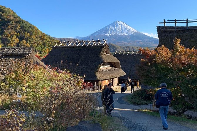 Private Tour to Mt. Fuji and Hakone (Fully Licenced Operator) - Why a private Fuji day trip works well from Tokyo