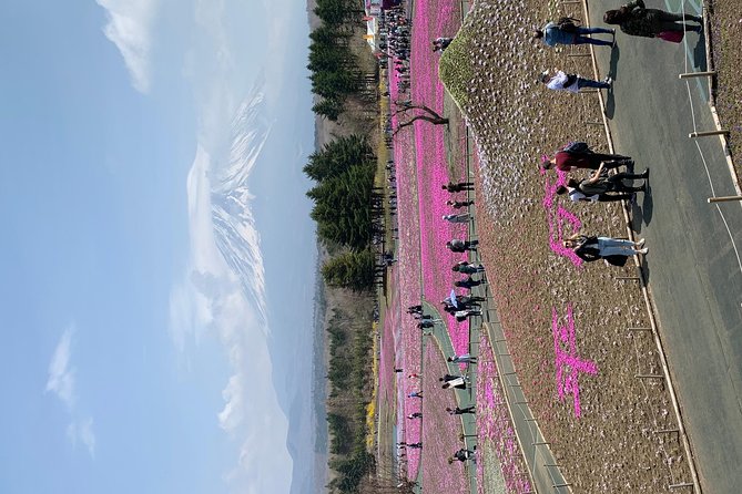 Private Tour to Mt. Fuji and Hakone (Fully Licenced Operator) - Oshino Hakkai and Fuji’s clear spring ponds