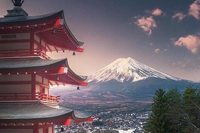 Private Tour to Mt. Fuji and Hakone (Fully Licenced Operator) - Hakone, Lake Ashi, and Owakudani