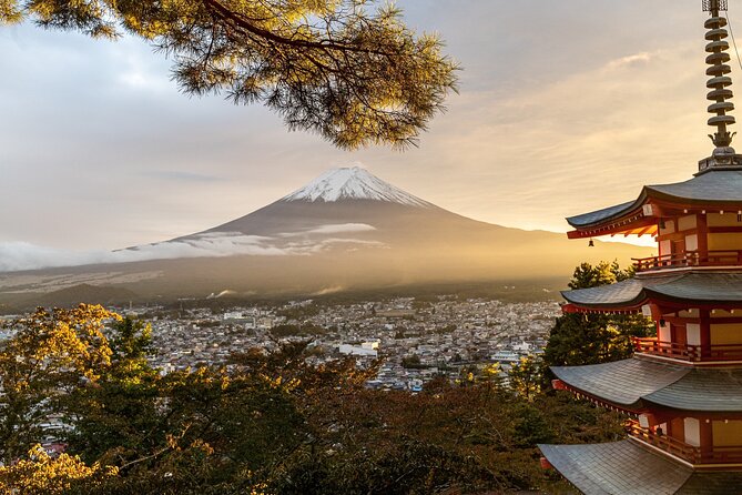 Private Tour to Mt Fuji and Hakone with English Speaking Driver - Lake Kawaguchiko and Oishi Park