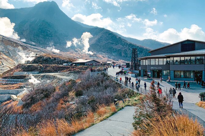 Private Tour to Mt Fuji and Hakone with English Speaking Driver - Chureito Pagoda and the climb for the famous view