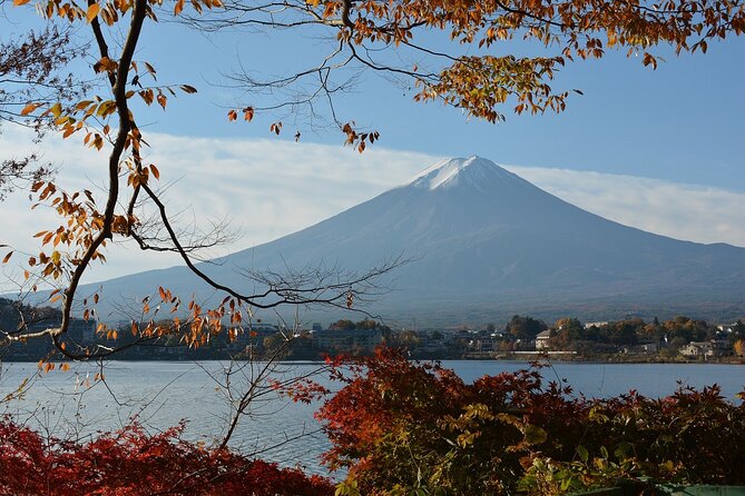 Private Tour to Mt Fuji and Hakone with English Speaking Driver - Owakudani: sulfur vents and black eggs
