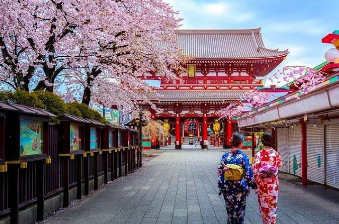 Private Transfer for Custom Day Tour in Tokyo - A short Sumida River cruise