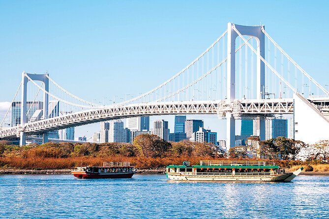 Private Transfer for Custom Day Tour in Tokyo - Reaching Odaiba Seaside Park
