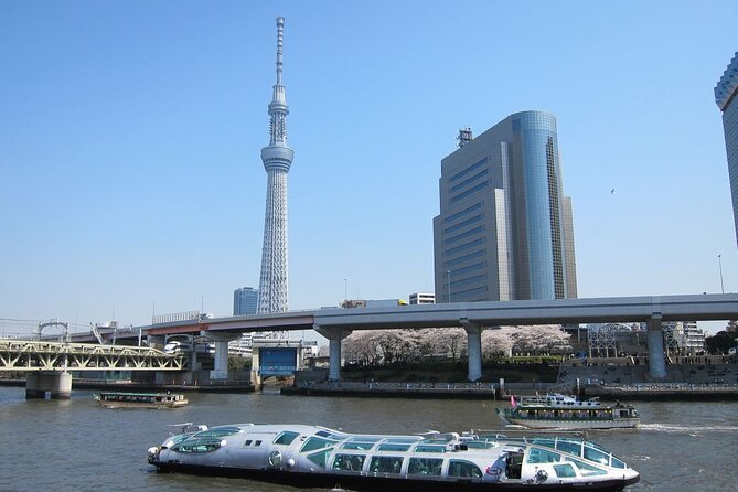 Private Transfer for Custom Day Tour in Tokyo - Driver only or guide included?