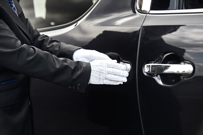 Private Transfer from Haneda Airport to Tokyo - Drivers Wang, Shin, and the Human Touch
