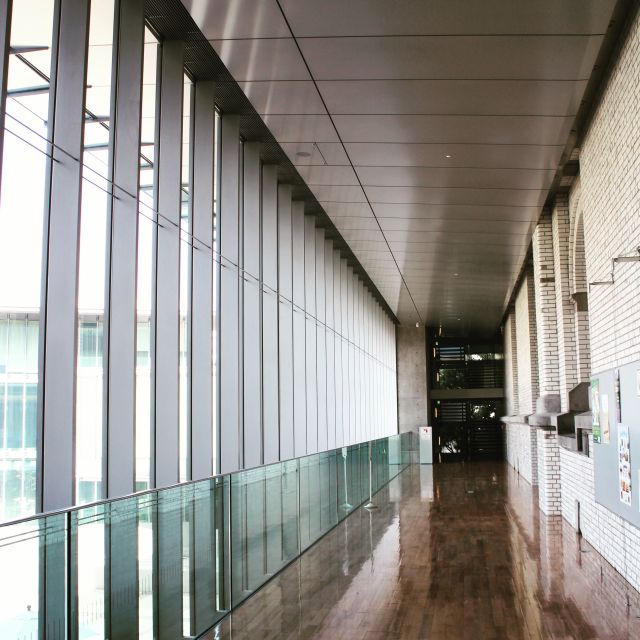 Private Ueno Park Architecture Tour - Daylight or evening: choosing the right mood