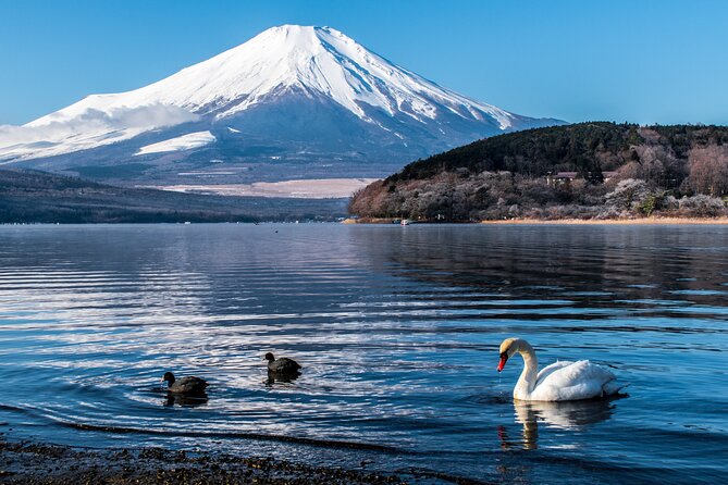 Private Unforgettable Mt Fuji Tour with English Speaking Driver - Oishi Park, with lake, lavender, and mountain views
