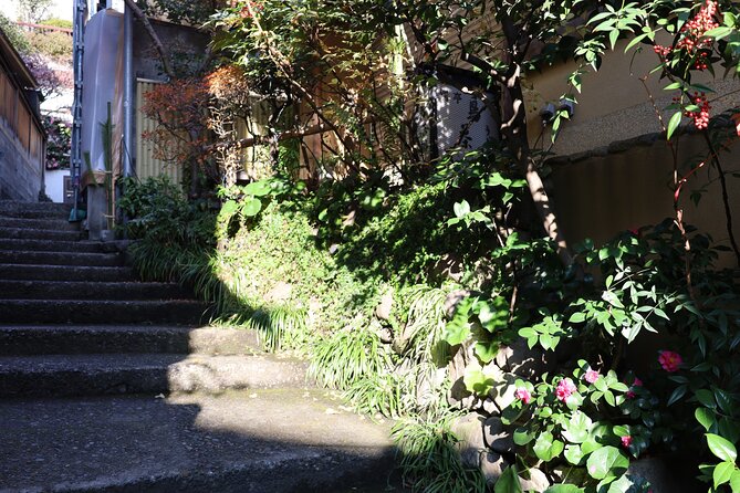 Private Walking Tour: The Little Kyoto of Tokyo, Kagurazaka - Starting at la kagū and Akomeya Tokyo
