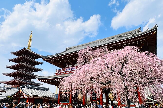 Private Walking Tour to explore Tokyo based on your interests - Key things to know before you book