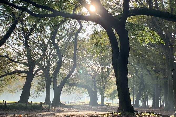 Sacred Morning Walk and Brunch Meiji Shrine - Who will enjoy this morning walk?