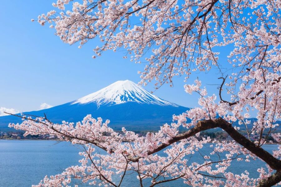 Seasonal Mt. Fuji Scenic Views, Fruit Picking and Ropeway! - The Kawaguchiko Ropeway and the Fuji view