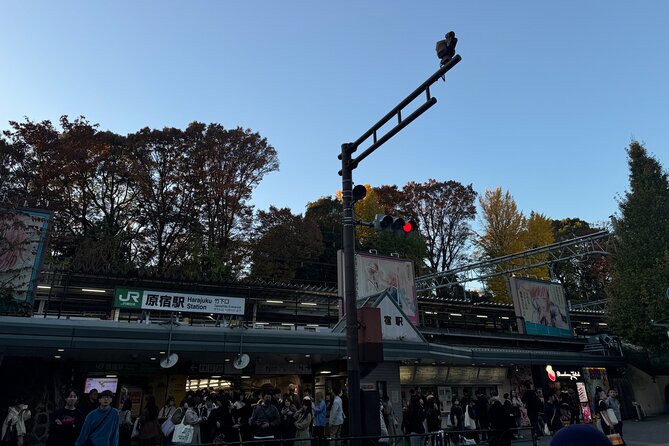 Shibuya and Harajuku Highlights Walking Tour - Key points at a glance