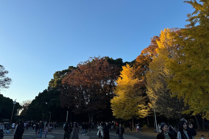 Shibuya and Harajuku Highlights Walking Tour - Why this Harajuku-to-Shibuya route works