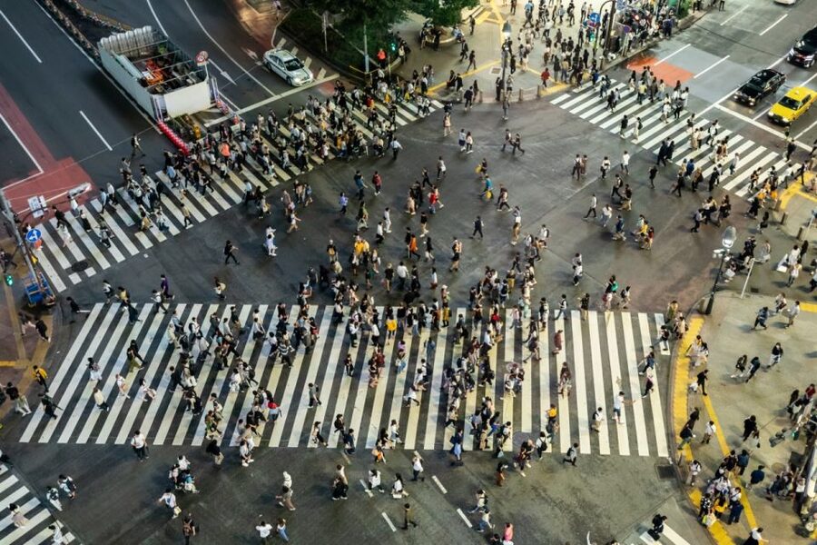 Shibuya & Harajuku: Hidden Gems & Highlights Private Tour - What the guides add to the experience