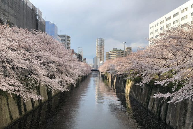 Shinjuku: Food Tour – 15 Dishes & 3 Drinks at 4 Eateries - Practical details that affect your evening