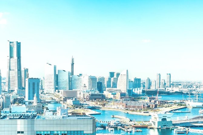Shore Excursion: Day Trip To Tokyo From Yokohama Port - What the private host adds