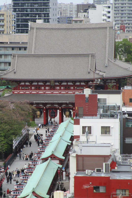 Shuttle Van Tour Tokyo for 4 Hours or 6 Hours - A private Tokyo route built around your priorities