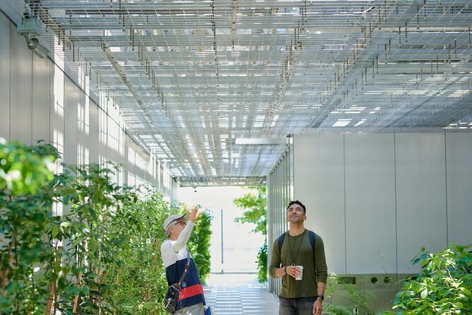 Small-Group Architecture Tour in Ginza, Tokyo - Key points at a glance