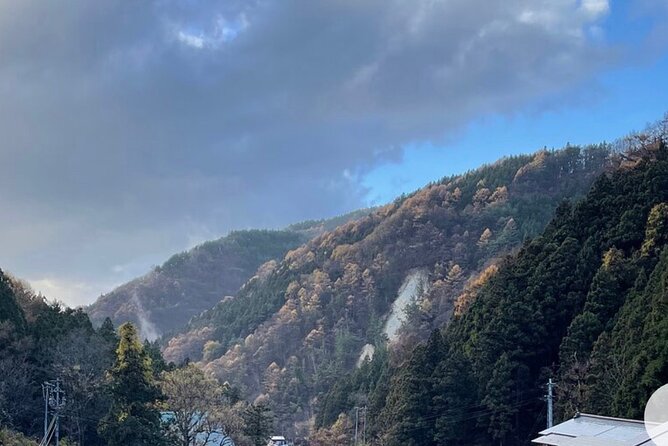 Snow Monkey Nagano Day Tour by Car English Driver in Person Guide - Service From the Driver-Guide