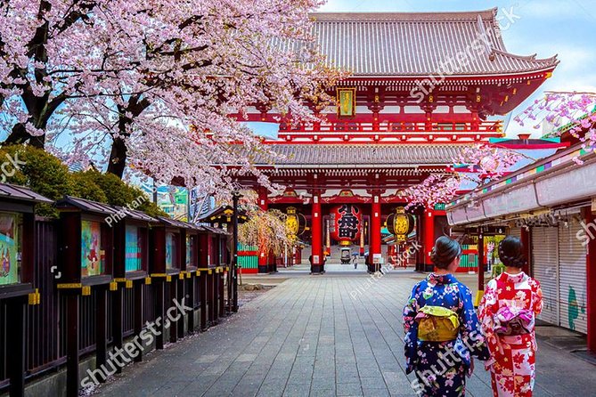 Starter tour in Tokyo _Visiting must-see spots and practical guidance - What public transportation adds to the day