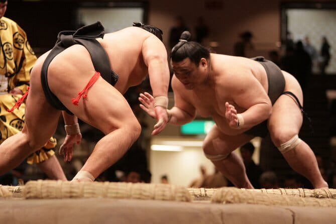 Sumo Wrestling Tournament A-Class Seats & ExpertGuide | Tokyo MAY - Key points about this Tokyo sumo afternoon