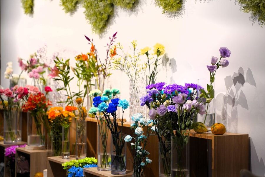Sushi making experience in Shinjuku, Tokyo - Finding Flower Wall Mone in Shinjuku