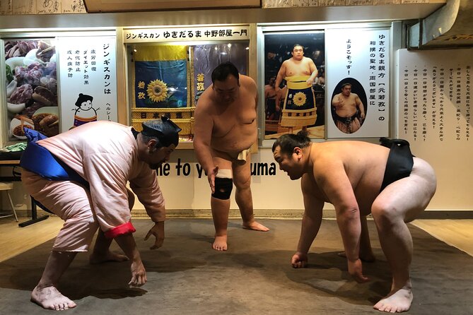 the SUMO show - Your turn in the sumo ring