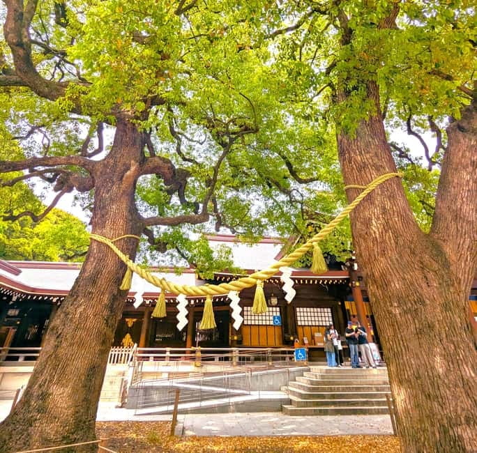 This is Real TOKYO!! SHIBUYA Tour from TGP!! - Meiji Shrine and a quieter side of Tokyo