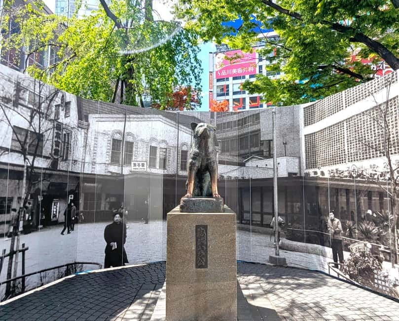 This is Real TOKYO!! SHIBUYA Tour from TGP!! - Takeshita Street and Japanese pop culture