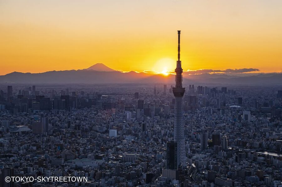 Tokyo: 1 Day Bus Tour with Meiji-Jingu,Odaiba,lunch&Skytree - Why this bus tour works for a first day in Tokyo