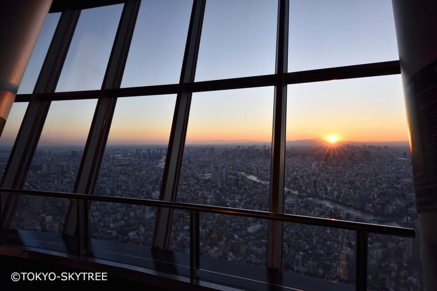 Tokyo: 1 Day Bus Tour with Meiji-Jingu,Odaiba,lunch&Skytree - Imperial Palace Plaza: an outside view with photo time
