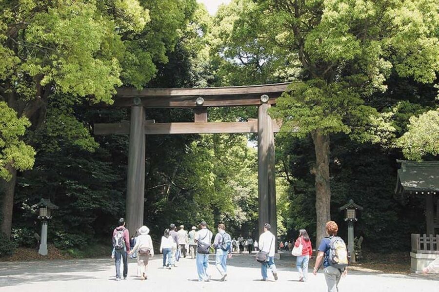 Tokyo: 1 Day Bus Tour with Meiji-Jingu,Odaiba,lunch&Skytree - Buffet lunch at Villa Fontaine Grand Haneda Airport