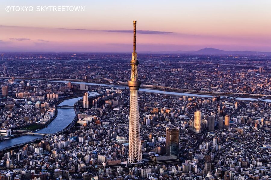 Tokyo: 1 Day Bus Tour with Meiji-Jingu,Odaiba,lunch&Skytree - Meiji Shrine: a calm beginning under the trees