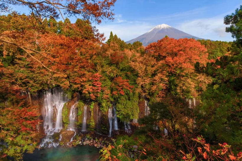 Tokyo: 1 Day JDM/Sports Car Tour to Hakone, Fuji, and Onsen - Is $663 a fair price?