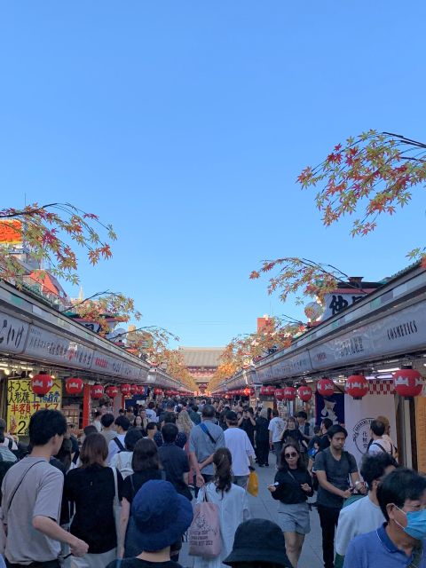 Tokyo: 1-Day Tokyo Private Tailor-made Tour - Meiji Jingu and the energy of Shibuya Crossing