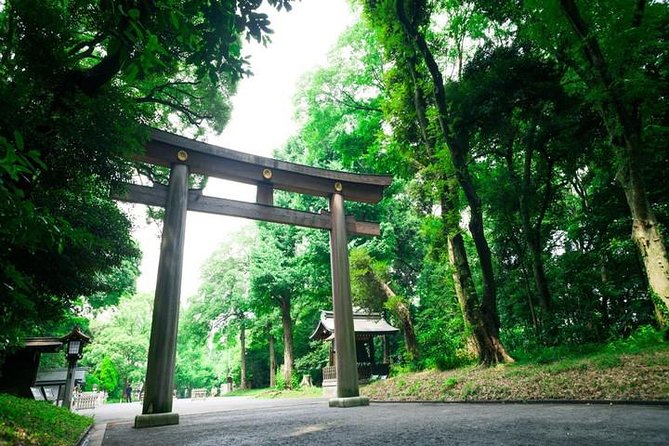Tokyo 6hr Private Tour with Government-Licensed Guide - Shibuya, Harajuku, and Meiji Shrine