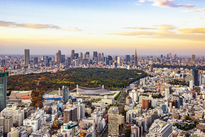 Tokyo 8hr Private Tour with Licensed Guide from Yokohama - Meiji Shrine, Harajuku, and Shibuya