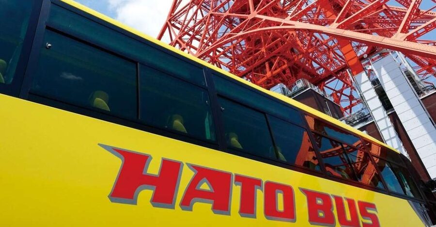 Tokyo: A Half-Day Trip Bus Tour in the Morning - Price and practical value at $40