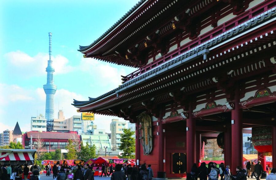 Tokyo: A Half-Day Trip Bus Tour in the Morning - Who should book this tour