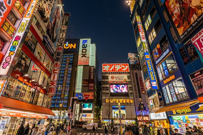 Tokyo Afternoon Tour with Pick-up Service from designated hotels - Finishing in Akihabara, Tokyo’s anime center