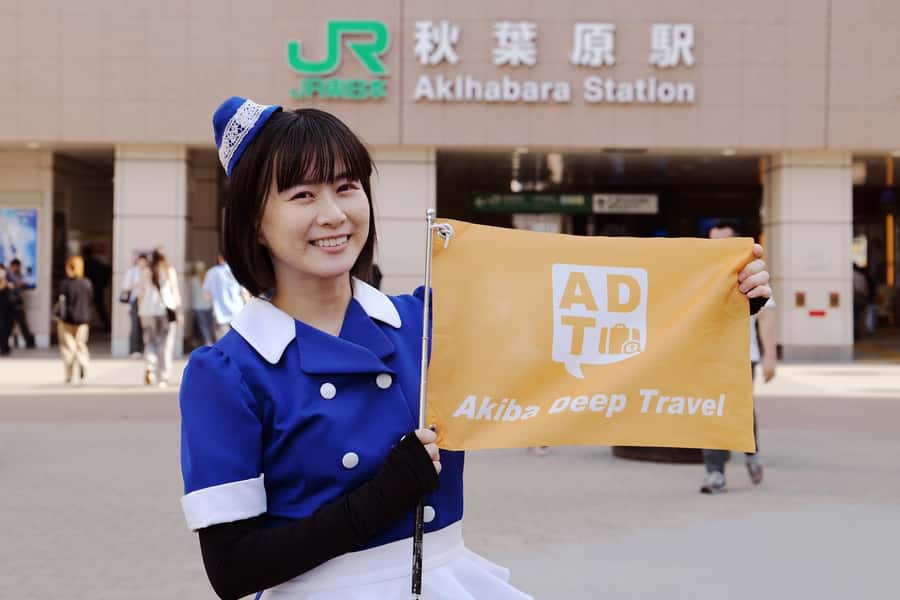 Tokyo: Akihabara 2-Hour Guided Walking Tour - Key points at a glance