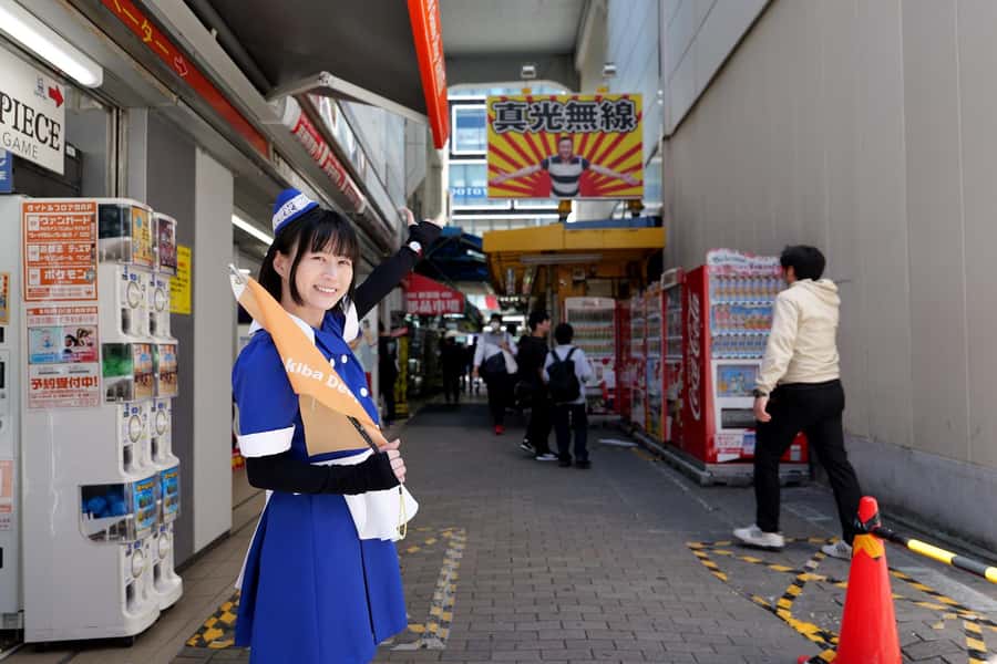 Tokyo: Akihabara 2-Hour Guided Walking Tour - Why a guided walk helps in Akihabara