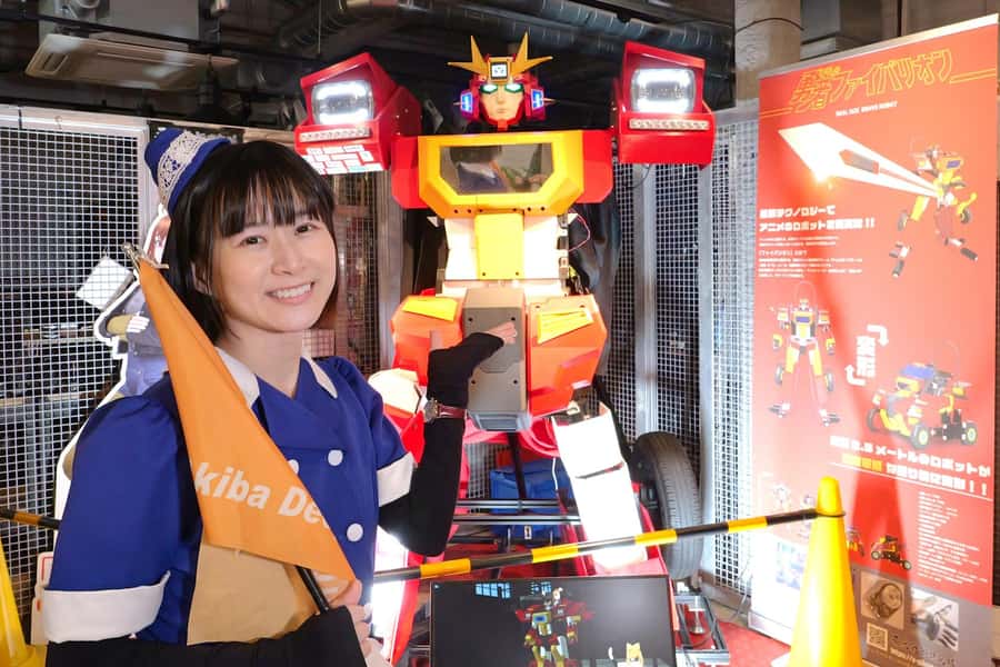 Tokyo: Akihabara 2-Hour Guided Walking Tour - What the experience does especially well