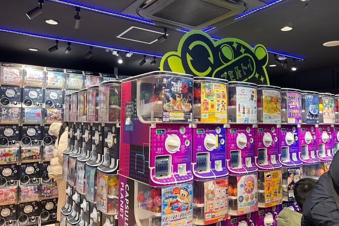 Tokyo Akihabara Anime Manga Video Games and Hidden Gems Tour - What guide iNok adds to the walk
