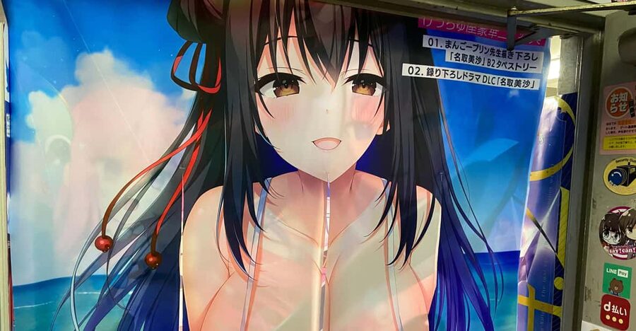 Tokyo: Akihabara Private Hentai Tour - Starting at Akihabara Station’s Electric Town Gate