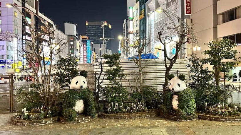 Tokyo: Akihabara, Shibuya, Karaoke & City Lights Night Tour - Riding From Ueno to Akihabara