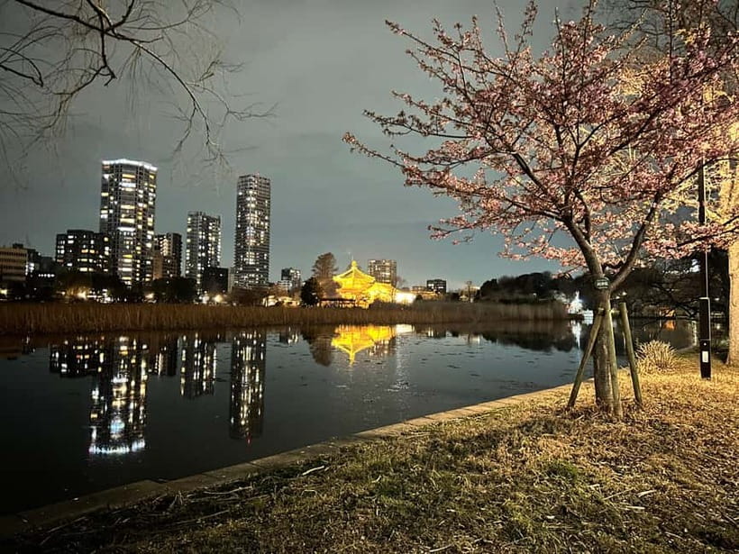 Tokyo: Akihabara, Shibuya, Karaoke & City Lights Night Tour - What the $79 Price Covers