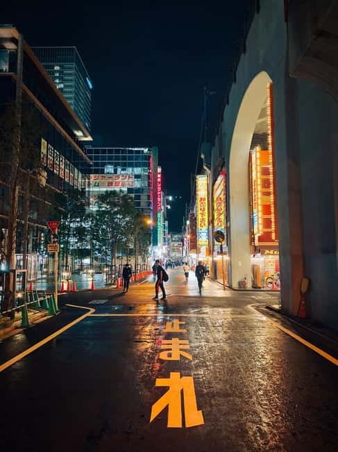 Tokyo: Akihabara, Shibuya, Karaoke & City Lights Night Tour - Language, Guides, and Group Atmosphere